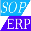 Custom ERP & System Development