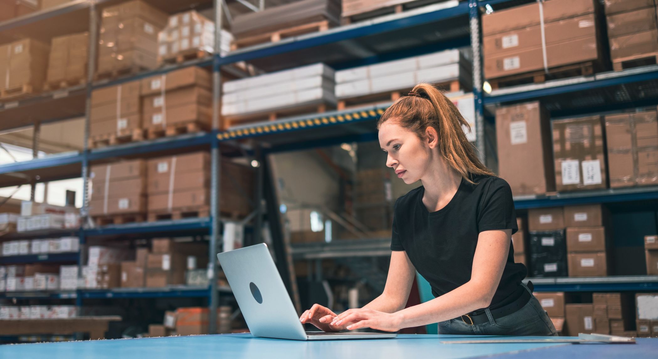 Software Development ERP CRM Ecommerce